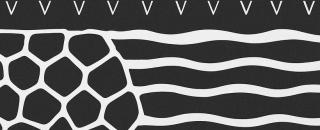 Cover image for venchatravel