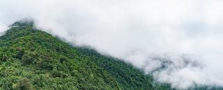 Cover image for traveltires