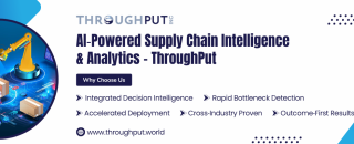 Cover image for throughputinc