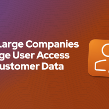 How Large Companies Manage User Access and Customer Data cover image